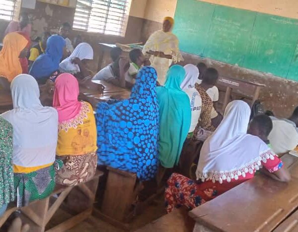 Campagnes de salubrité organisés par BUSOLA ONG à l’école Primaire Publique de Birni-lafia.